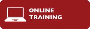 online training program