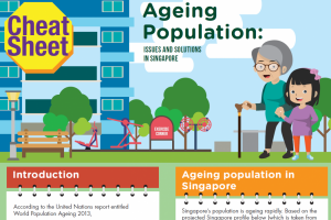 Worry About Ageing Population In Singapore