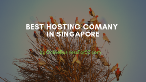 Best Hosting Company in Singapore